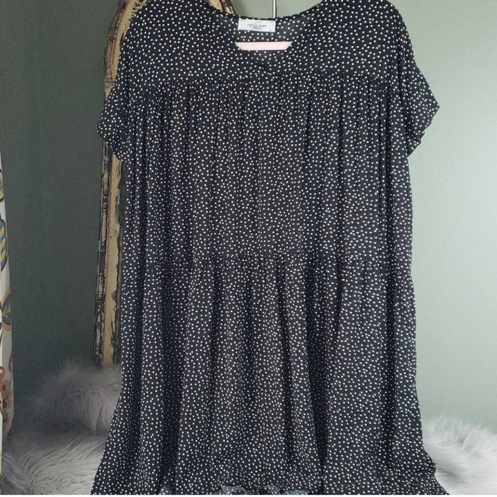 Carly Jean Los Angeles Black and White Mini Dress